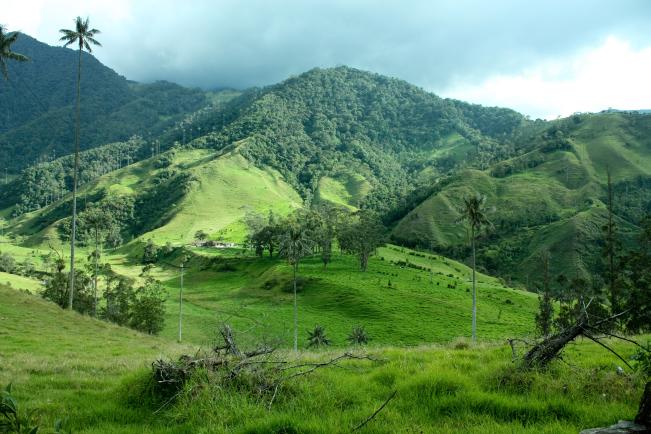 Rondreis The Best of Colombia 1