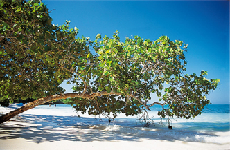Havana en Cayo Coco 2