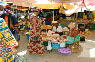16 dagen rondreis best of Gambia met Palm Beach 1