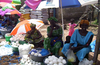 16 dagen rondreis best of Gambia met SunBeach 1